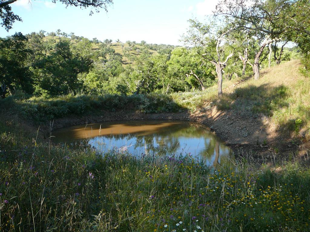 Monte Da Ameira Roncao Luaran gambar